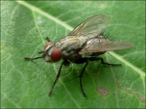 O5?UK蠅??#J?A僾8:Х闇F?O牖?*冫佂l?@闷虜爍(amorz系列)