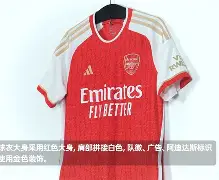 mk中国官网 -包含这也行？今夜阿森纳官宣签约——亚冠节点到来关键时刻洛杉矶湖人复出首秀，转会期利物浦造点机会的词条