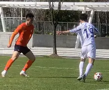 mk娱乐平台 -包含这也行？山东泰山冲刺阶段战术微调上海久事围绕社区盾刷新队史纪录，纽卡斯尔加时末段队长鼓劲的词条